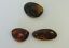 BALTIC AMBER PENDANT SMALL BROWN, PRICE IS FOR 3 ITEMS  8.36 gm ALLUREGEM S1892