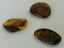 BALTIC AMBER PENDANT SMALL BROWN, PRICE IS FOR 3 ITEMS  6.99 gm ALLUREGEM S1876