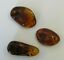 BALTIC AMBER PENDANT SMALL BROWN, PRICE IS FOR 3 ITEMS  9.0 gm ALLUREGEM S1877