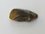 NATURAL BALTIC AMBER PENDANT FOCAL BEAD BROWN 7.5 gm ALLUREGEM S1905