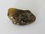 NATURAL BALTIC AMBER PENDANT FOCAL BEAD BROWN 7.5 gm ALLUREGEM S1905