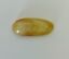 GENUINE BALTIC AMBER CABOCHON STONE, MULTI-COLOR 1.11 gm ALLUREGEM  S1899