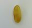 GENUINE BALTIC AMBER CABOCHON STONE, MULTI-COLOR 1.11 gm ALLUREGEM  S1899