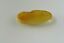 GENUINE BALTIC AMBER CABOCHON STONE, MULTI-COLOR 1.11 gm ALLUREGEM  S1899