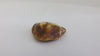 GENUINE BALTIC AMBER PENDANT FOCAL BEAD, POLISHED, 5.7 gm ALLUREGEM S1883