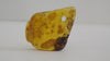 NATURAL BALTIC AMBER PENDANT FOCAL BEAD, MULTI-COLOR 6.4 gm ALLUREGEM  S1450