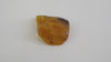 NATURAL BALTIC AMBER PENDANT FOCAL BEAD, MULTI-COLOR 6.4 gm ALLUREGEM  S1450