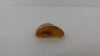GENUINE BALTIC AMBER PENDANT FOCAL BEAD, POLISHED, 4.89 gm ALLUREGEM S1898