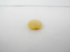 GENUINE BALTIC AMBER CABOCHON STONE, BUTTER 1.2 gm ALLUREGEM S1901