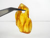 NATURAL BALTIC AMBER PENDANT FOCAL BEAD, LEMON 4.6 gm ALLUREGEM S1884