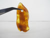 GENUINE BALTIC AMBER PENDANTFOCAL BEAD, LEMON 6.7 gm ALLUREGEM S1887