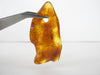 GENUINE BALTIC AMBER PENDANTFOCAL BEAD, LEMON 6.7 gm ALLUREGEM S1887