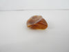GENUINE BALTIC AMBER PENDANTFOCAL BEAD, LEMON 6.7 gm ALLUREGEM S1887