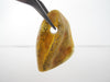NATURAL BALTIC AMBER PENDANT FOCAL BEAD, GREEN 4.0 gm ALLUREGEM  S1894