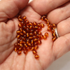 Natural Baltic Amber Beads, 4mm Round Loose Beads, Honey Drilled Alluregem E1081