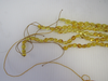 Natural Baltic Amber Beads Strand 6 - 8 gm, 6MM - 9MM Alluregem E1166