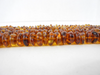 Natural Baltic Amber Bead Strands Rondelle Honey 8" Alluregem E1278
