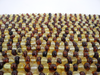 Baltic Amber Beads Strand, 5 - 6mm, 9-11 gm, Multi-Color, Alluregem E1311