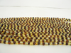 Baltic Amber Beads Strand, 5 - 6mm, 9-11 gm, Multi-Color, Alluregem E1311