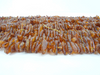 Baltic Amber Chips Beads Cognac Grade D BUY 3 GET 1 FREE!! Alluregem E2038
