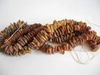 Natural Raw Baltic Amber Chips, Loose Beads Strand 30 - 40 gm, 10 - 17 mm Alluregem E2093