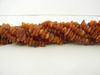 Baltic Amber Beads Milky Honey 8 - 13MM 20 - 22 Grams 16" Alluregem E2094