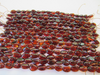 Natural Baltic Amber Bead Strands, Cognac, Large Flat Oval 8" Alluregem E2201