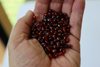 Genuine Baltic Amber Beads, Extra Small Dark Cognac Beads, Available in 5- 20 Gram Packs, approx 5 - 7mm Alluregem E2459