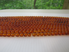 NATURAL Baltic Amber Loose Bead Strand 7mm Round Honey 16" Alluregem E2934