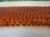 NATURAL Baltic Amber Loose Bead Strand 7mm Round Honey 16" Alluregem E2934