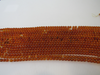 NATURAL Baltic Amber Loose Bead Strand 7mm Round Honey 16" Alluregem E2934