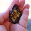 Carved Baltic Amber Stone for Pendant, Unset Focal Bead Stone, Pendant Bead E2955