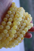Natural Baltic Amber Beads, Round Drilled Butter White 6mm - 14mm 16" Alluregem E2982