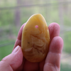 BALTIC Amber Pendant Bead, Natural, Very Unique Extra Large Butter Focal 10.5 gm Alluregem E3136