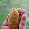 BALTIC Amber Pendant Bead, Natural, Very Unique Extra Large Butter Focal 10.5 gm Alluregem E3136