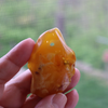 BALTIC Amber Pendant Bead, Natural, Very Unique Extra Large Thick Dark Butterscotch Focal 17.1 gm Alluregem E3137