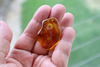 GENUINE BALTIC Amber Pendant Bead, Dark Honey Focal 4.6 gm Alluregem E3138