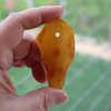 BALTIC Amber Pendant Bead, Natural, Very Unique Extra Large Butterscotch Focal 13.7 gm Alluregem E3139