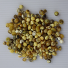Natural Baltic Amber Beads, Medium Green and White Amber Baroque Beads, Available in 5- 20 Gram Packs Alluregem E3143