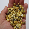 Natural Baltic Amber Beads, Medium Green and White Amber Baroque Beads, Available in 5- 20 Gram Packs Alluregem E3143