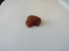 NATURAL BALTIC AMBER PENDANT FOCAL BEAD RAW 6.30 gm ALLUREGEM S1902