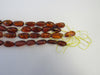 NATURAL BALTIC AMBER BEAD STRANDS  14-18 mm OVAL DARK HONEY 16"  ALLUREGEM S1146
