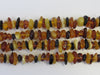GENUINE BALTIC AMBER BEADS STRANDS, MULTI-COLOR, 7-10 mm  16" ALLUREGEM S1154