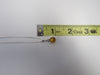 Baltic Amber Pendant Necklace, 925 Sterling Silver  16" ALLUREGEM S1166