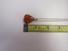 Baltic Amber Pendant Necklace, 925 Sterling Silver 20" ALLUREGEM  S1462