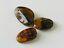 BALTIC AMBER PENDANT SMALL BROWN, PRICE IS FOR 3 ITEMS  9.27 gm ALLUREGEM S1871