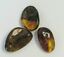 BALTIC AMBER PENDANT SMALL BROWN, PRICE IS FOR 3 ITEMS  9.27 gm ALLUREGEM S1871