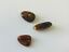 BALTIC AMBER PENDANT SMALL BROWN, PRICE IS FOR 3 ITEMS  9.93 gm ALLUREGEM S1863