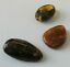 BALTIC AMBER PENDANT SMALL BROWN, PRICE IS FOR 3 ITEMS 7.49 gm ALLUREGEM S1864
