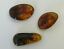 BALTIC AMBER PENDANT SMALL BROWN, PRICE IS FOR 3 ITEMS  9.0 gm ALLUREGEM S1877